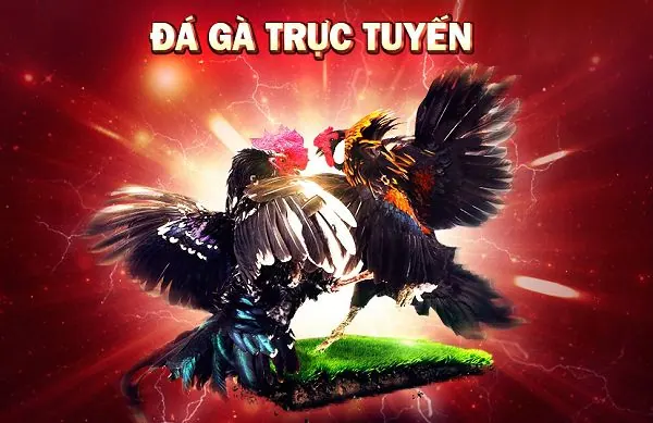 Đối chiếu thông tin thay vì suy đoán - 97Win